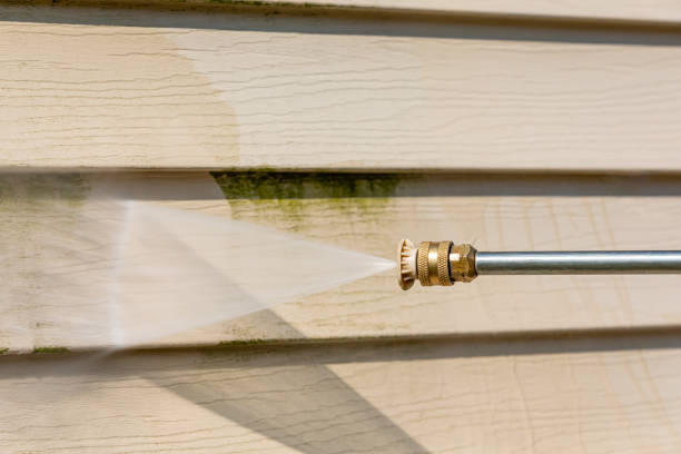 Best Exterior Home Cleaning  in Batesville, AR